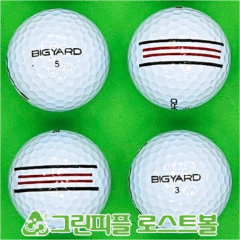 빅야드 스트레이트 화이트 2피스 A급 로스트볼 16개